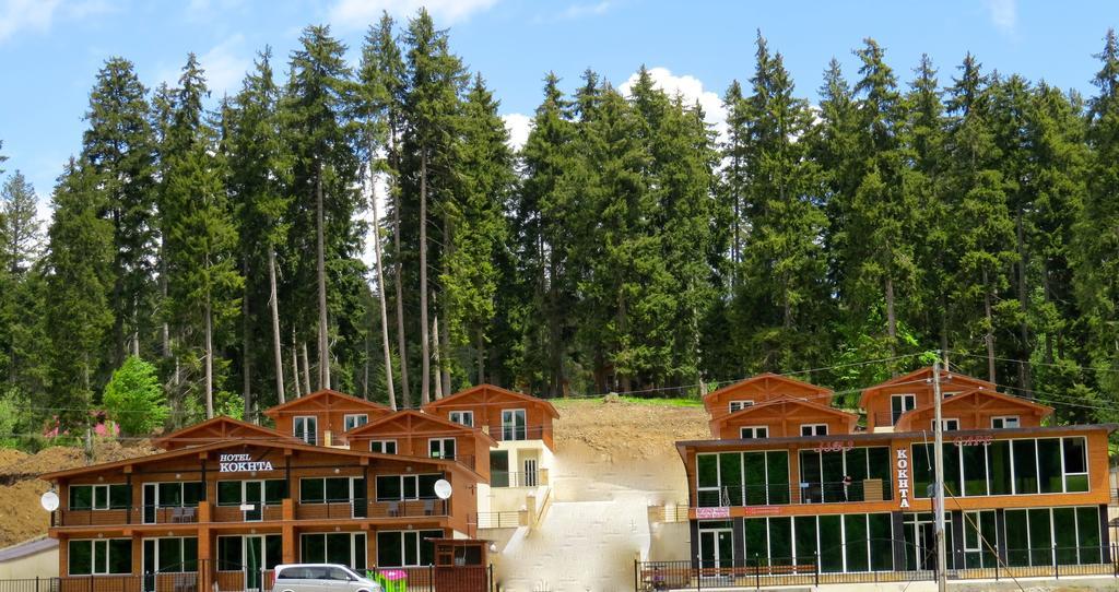 Chalet Kokhta Bakuriani Exterior photo